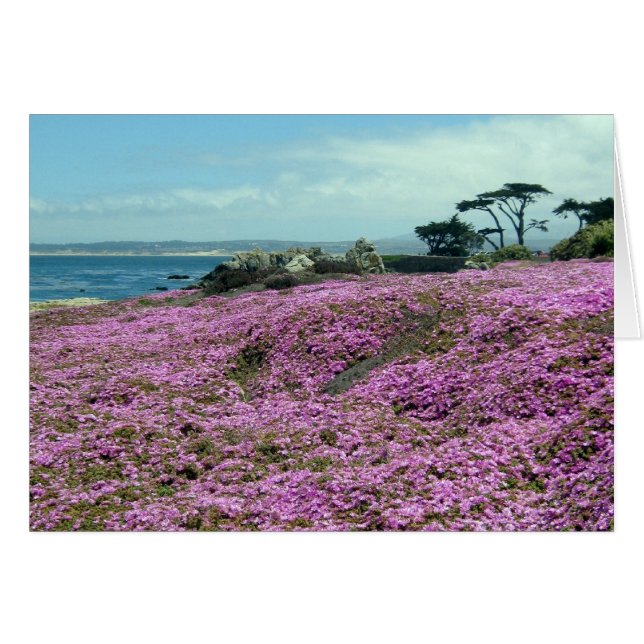 "花の分野" (正面横)