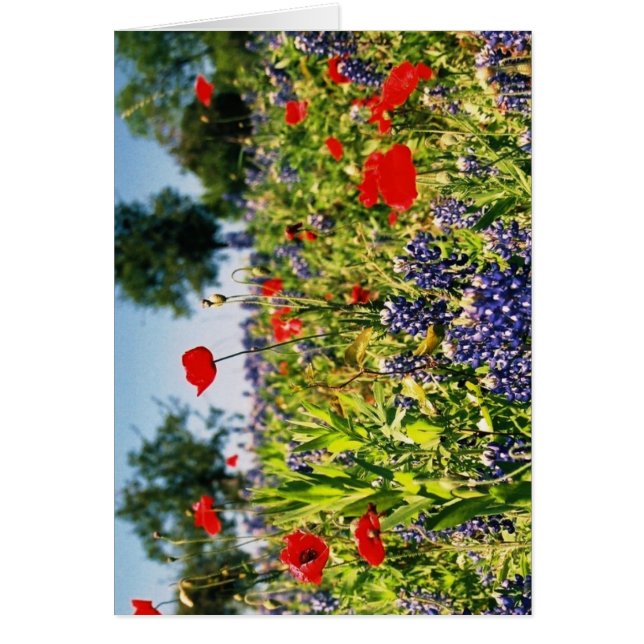 花の分野 (正面)