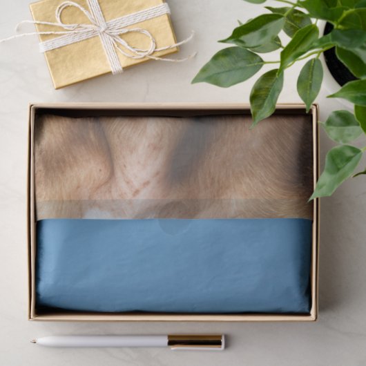 花の切り離しの分野で微笑む犬 薄葉紙 (ギフト)