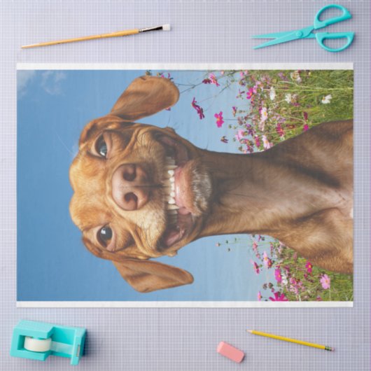 花の切り離しの分野で微笑む犬 薄葉紙 (クラフト)