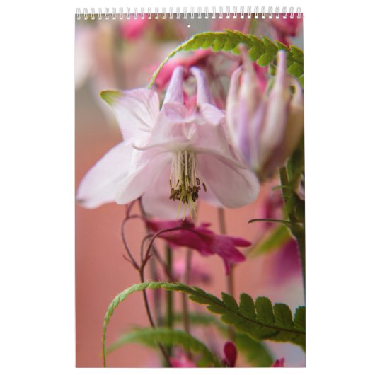 花の力 カレンダー (カバー)
