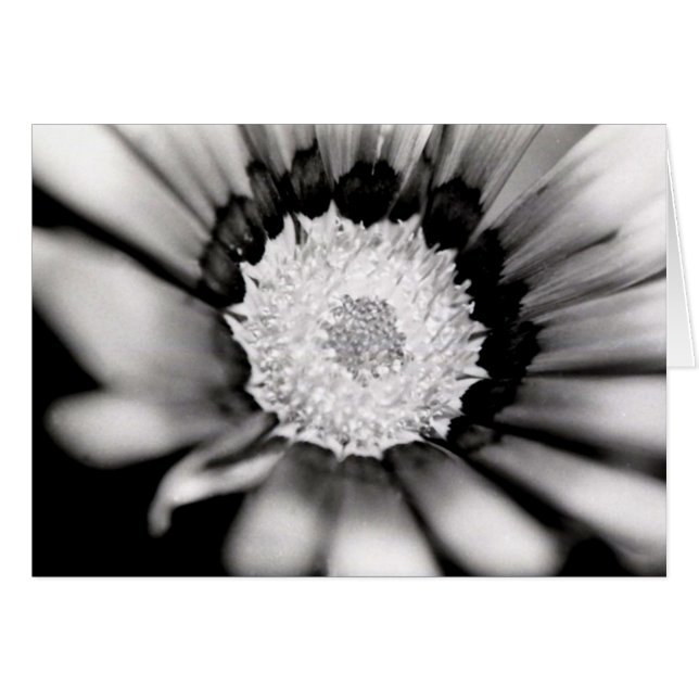 花の勉強 (正面横)