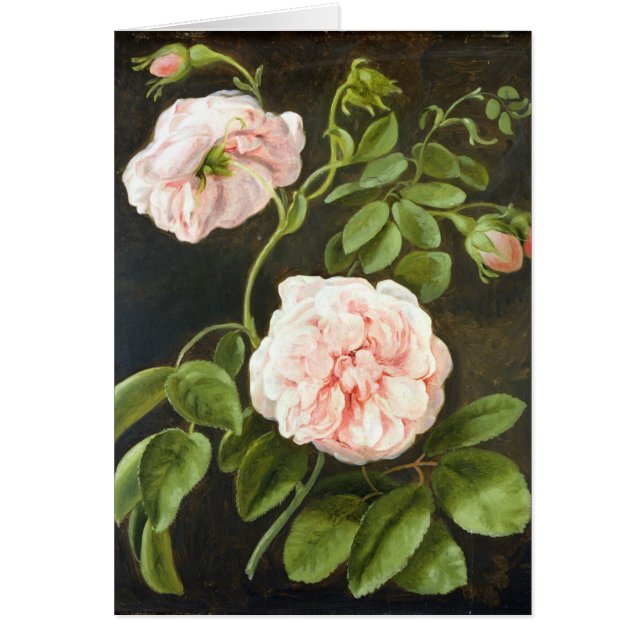 花の勉強 (正面)