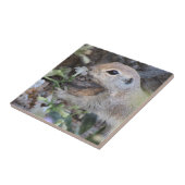 花の匂いをかぐ丸い尾の地面 タイル (側面)