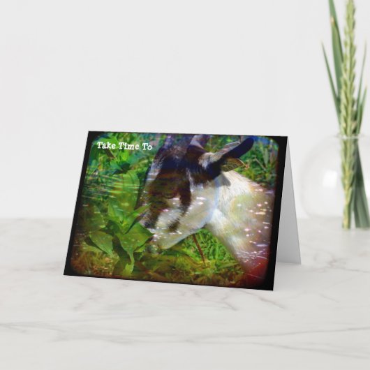 花の匂いストップを嗅ぐ カード (正面)