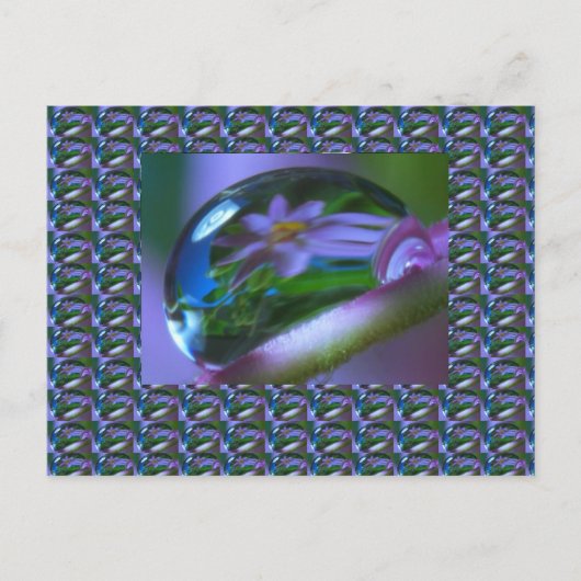 花の反射の露のドロップ。低価格の贈り物 ポストカード (正面)