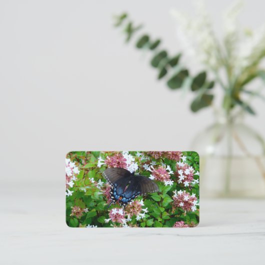 花の名刺に蝶 名刺 (スタンド正面)