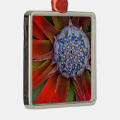 花の咲くアガベの中心-サンフランシスコ メタルオーナメント (右)