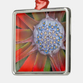 花の咲くアガベの中心-サンフランシスコ メタルオーナメント (左)