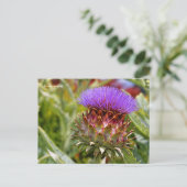 花の咲くグローブアーティチョーク野菜 ポストカード (スタンド正面)