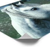 花の咲く牧草地で刈り込まれた灰色 ポスター (角)