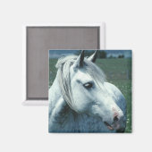 花の咲く牧草地で刈り込まれた灰色 マグネット (正面/裏面)