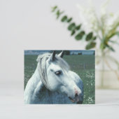 花の咲く牧草地に斑入りの灰色 ポストカード (スタンド正面)