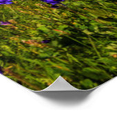 花の咲く草原に虹が出る ポスター (角)