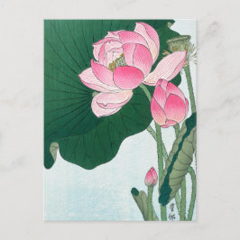 花の咲く蓮の花こ日本のそ ポストカード