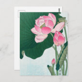 花の咲く蓮の花こ日本のそ ポストカード (正面/裏面)