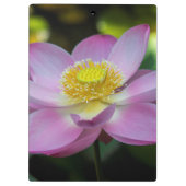 花の咲く蓮の花（インドネシア） クリップボード (裏面)