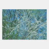 花の咲く野生の梅 ラッピングペーパーシート (正面)