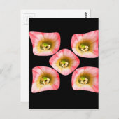 花の喜び ポストカード (正面/裏面)