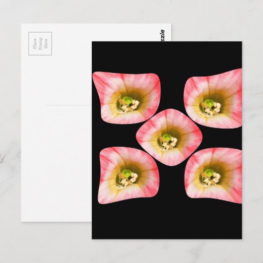 花の喜び ポストカード (正面/裏面)