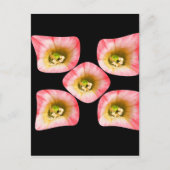 花の喜び ポストカード (正面)