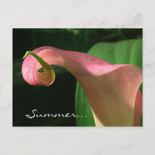 花の夏至のパーティの招待状 インビテーションポストカード