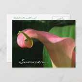 花の夏至のパーティの招待状 インビテーションポストカード (正面/裏面)