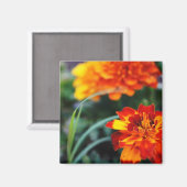 花の大物 マグネット (正面/裏面)