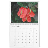 「花の奇跡」12ヶ月2025カレンダー カレンダー (1月 2027)