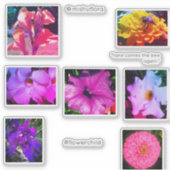 花の子のシール シール (正面)