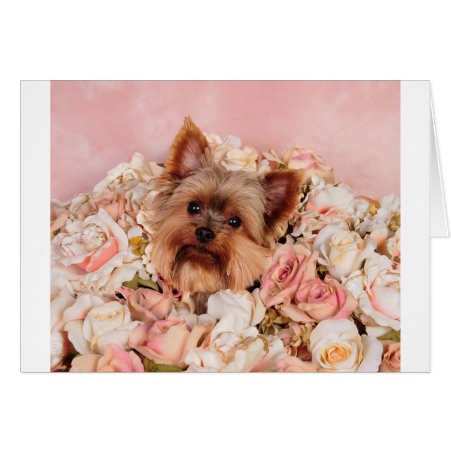 花の子犬 (正面横)