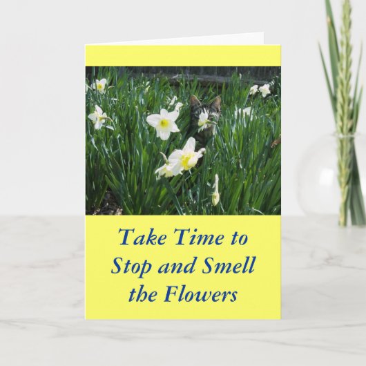 花の子猫 カード (正面)