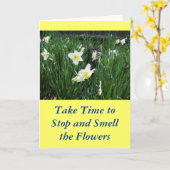 花の子猫 カード (黄色い花)