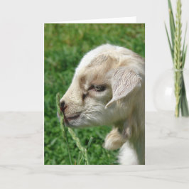 花の子羊 イースター カード