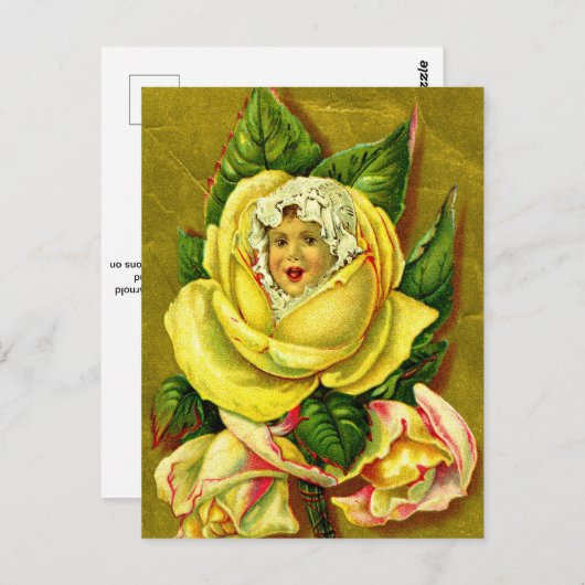 花の子 ポストカード (正面/裏面)