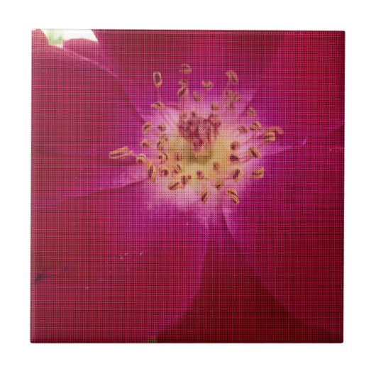 花の完成:市松模様にバラ花の模様アート タイル (正面)