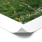 花の小さな子豚歩く ポスター (角)