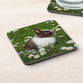 花の小さな茶色と白のバニー コースター (左側)