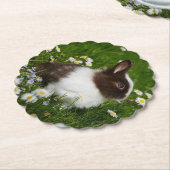 花の小さな茶色と白のバニー ペーパーコースター (アングル)