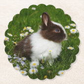 花の小さな茶色と白のバニー ペーパーコースター (正面)