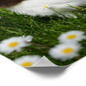 花の小さな茶色と白のバニー ポスター (角)