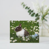 花の小さな茶色と白のバニー ポストカード (スタンド正面)