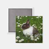 花の小さな茶色と白のバニー マグネット (正面/裏面)