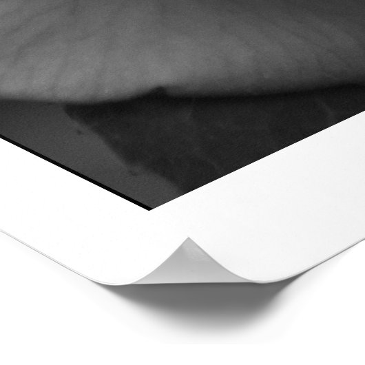 花の小さな虫 ポスター (角)