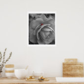 花の小さな虫 ポスター (キッチン)