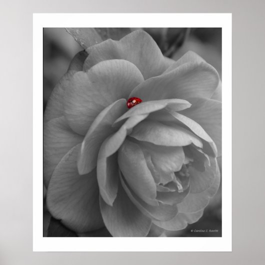 花の小さな虫 ポスター (正面)