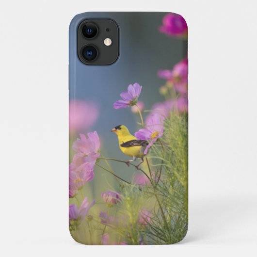 花の小さな黄色の鳥 Case-Mate iPhoneケース (裏面)