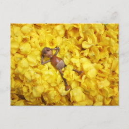 花の小妖精や小人葉書のア葉コーン ポストカード