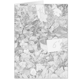 花の市場の着色