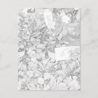 花の市場の着色 ポストカード